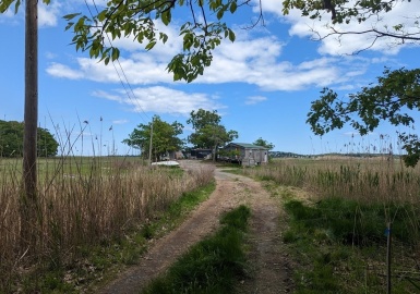 171 Town Farm Road, Ipswich, Massachusetts 01938, ,Land,For Sale,Town Farm Road,73035972