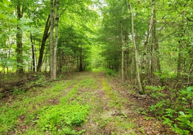 122 Walnut St, Douglas, Massachusetts 01516, ,Land,For Sale,Walnut St,73120156