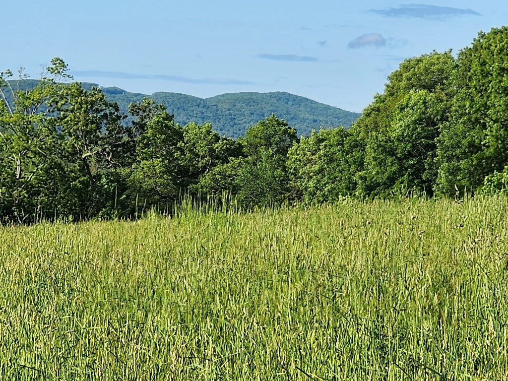 243 Joslyn Rd, Hardwick, Massachusetts 01037