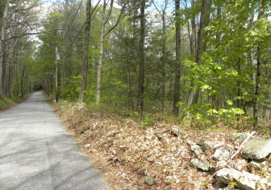 Lot 1 Denfield & Lot Guelphwood Rd, Charlton, Massachusetts 01507, ,Land,For Sale,Denfield & Lot Guelphwood Rd,73037156
