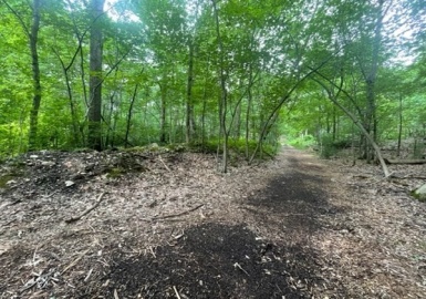 48 Emmett Street, Boston, Massachusetts 02136, ,Land,For Sale,Emmett Street,73146175