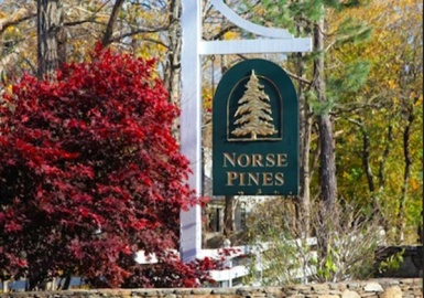 21 Quiet Street, Sandwich, Massachusetts 02537, ,Land,For Sale,Quiet Street,73080743