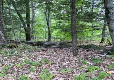408/77-4 New Athol Rd, Petersham, Massachusetts 01366, ,Land,For Sale,New Athol Rd,73094061