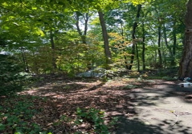 12 Adeline Pl, Quincy, Massachusetts 02169, ,Land,For Sale,Adeline Pl,73053551