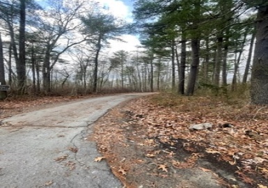off Spruce St, Middleboro, Massachusetts 02346, ,Land,For Sale,Spruce St,73059611
