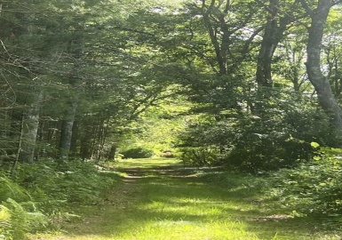 Lot 3-A Plain Street, Middleboro, Massachusetts 02346, ,Land,For Sale,Plain Street,73136821