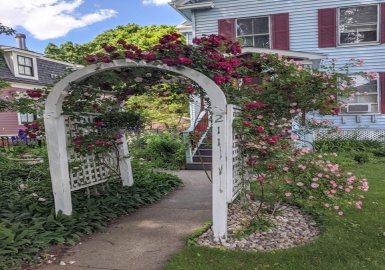 211 Morrison Ave, Somerville, Massachusetts 02144, 2 Bedrooms Bedrooms, 5 Rooms Rooms,1 BathroomBathrooms,Residential Lease,For Rent,Morrison Ave,73074768