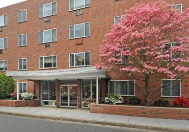 50 Green St, Brookline, Massachusetts 02446, 1 Bedroom Bedrooms, 3 Rooms Rooms,1 BathroomBathrooms,Residential,For Sale,Green St,73070721