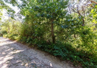 0 Partridge, Brewster, Massachusetts 02631, ,Land,For Sale,Partridge,73023660