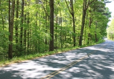0-Q80 West Pelham Rd, Shutesbury, Massachusetts 01072, ,Land,For Sale,West Pelham Rd,73119509