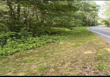 Lot 4-A Plain Street, Middleboro, Massachusetts 02346, ,Land,For Sale,Plain Street,73133672