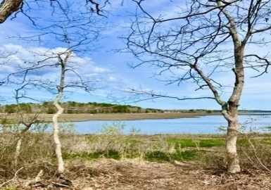 136 &140 Cromesett Rd, Wareham, Massachusetts 02571, ,Land,For Sale,Cromesett Rd,73105925