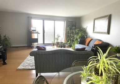 131 Coolidge Avenue, Watertown, Massachusetts 02472, 2 Bedrooms Bedrooms, 4 Rooms Rooms,2 BathroomsBathrooms,Residential Lease,For Rent,Coolidge Avenue,73063310