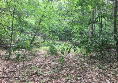 Lot 4 Bissell Rd, Chesterfield, Massachusetts 01012, ,Land,For Sale,Bissell Rd,73123054