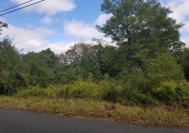 0 Greenwich Plains Rd, Ware, Massachusetts 01082, ,Land,For Sale,Greenwich Plains Rd,73113537