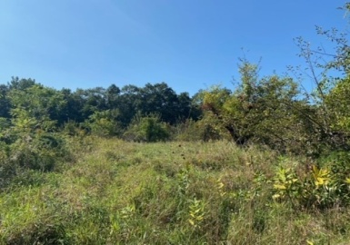126 Dodge Hill Rd, Sutton, Massachusetts 01590, ,Land,For Sale,Dodge Hill Rd,73171286