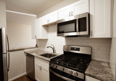 92 Maple St., Boston, Massachusetts 02121, 3 Bedrooms Bedrooms, 5 Rooms Rooms,1 BathroomBathrooms,Residential Lease,For Rent,Maple St.,73053038
