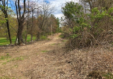229 Walnut Hill Rd, Orange, Massachusetts 01364, ,Land,For Sale,Walnut Hill Rd,73107019