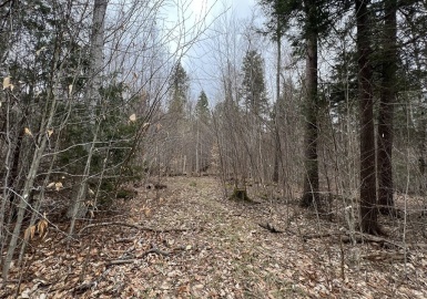 LOT 13 Chester Road, Middlefield, Massachusetts 01243, ,Land,For Sale,Chester Road,73106369