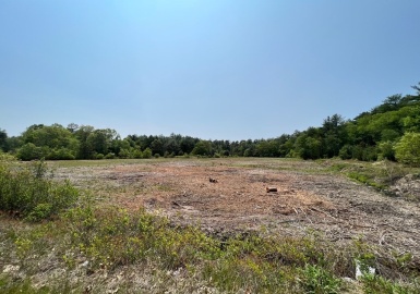 187 Meadow St, Carver, Massachusetts 02330, ,Land,For Sale,Meadow St,73116302