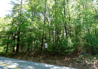 61B Walden Street, Concord, Massachusetts 01742, ,Land,For Sale,Walden Street,73124125