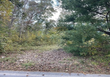 16 Lake Shore Drive, Falmouth, Massachusetts 02540, ,Land,For Sale,Lake Shore Drive,73181796
