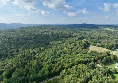 0000 West St, Worthington, Massachusetts 01098, ,Land,For Sale,West St,73176174
