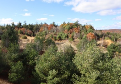 0 Pitcherville Rd (Off), Hubbardston, Massachusetts 01452, ,Land,For Sale,Pitcherville Rd (Off),73084196
