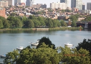 10 Rogers St, Cambridge, Massachusetts 02142, 2 Bedrooms Bedrooms, 4 Rooms Rooms,2 BathroomsBathrooms,Residential Lease,For Rent,Rogers St,73131366