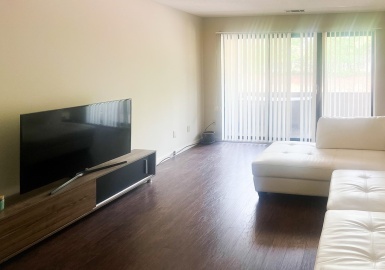 32 Shrewsbury Green Dr., Shrewsbury, Massachusetts 01545, 1 Bedroom Bedrooms, 3 Rooms Rooms,1 BathroomBathrooms,Residential Lease,For Rent,Shrewsbury Green Dr.,73117559