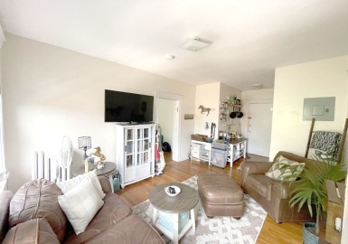 70 Strathmore Road, Boston, Massachusetts 02135, 1 Bedroom Bedrooms, 2 Rooms Rooms,1 BathroomBathrooms,Residential Lease,For Rent,Strathmore Road,73110327