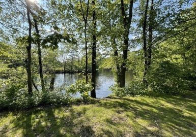 1526 Mystic Valley Pkwy, Medford, Massachusetts 02155, 3 Bedrooms Bedrooms, 6 Rooms Rooms,1 BathroomBathrooms,Residential Lease,For Rent,Mystic Valley Pkwy,73115133
