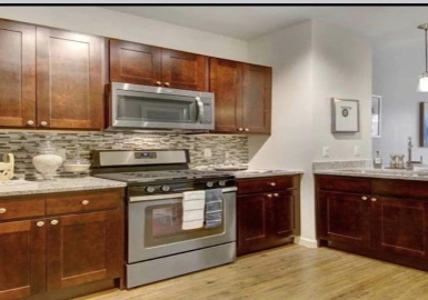 375 Acorn, Belmont, Massachusetts 02478, 1 Bedroom Bedrooms, 3 Rooms Rooms,1 BathroomBathrooms,Residential Lease,For Rent,Acorn,73101179