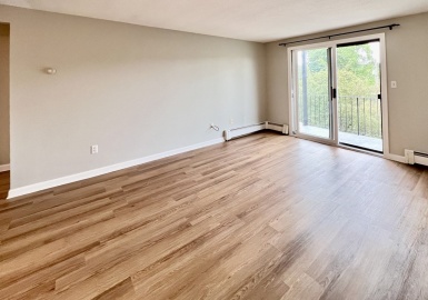 25 Pine Street, Canton, Massachusetts 02021, 2 Bedrooms Bedrooms, 4 Rooms Rooms,1 BathroomBathrooms,Residential Lease,For Rent,Pine Street,73132540