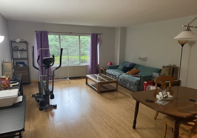 22 Chestnut Pl, Brookline, Massachusetts 02446, 2 Bedrooms Bedrooms, 4 Rooms Rooms,2 BathroomsBathrooms,Residential Lease,For Rent,Chestnut Pl,73135566