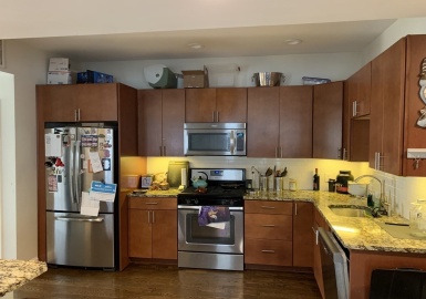180 Dorchester Street, Boston, Massachusetts 02127, 3 Bedrooms Bedrooms, 6 Rooms Rooms,2 BathroomsBathrooms,Residential Lease,For Rent,Dorchester Street,73128953
