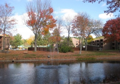 9 Davis Rd, Acton, Massachusetts 01720, 1 Bedroom Bedrooms, 4 Rooms Rooms,1.5 BathroomsBathrooms,Residential,For Sale,Briarbrook Village,Davis Rd,73128858