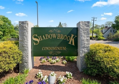 11 Shadowbrook Lane, Milford, Massachusetts 01757, 2 Bedrooms Bedrooms, 4 Rooms Rooms,1.5 BathroomsBathrooms,Residential,For Sale,Shadowbrook Condominium,Shadowbrook Lane,73133111