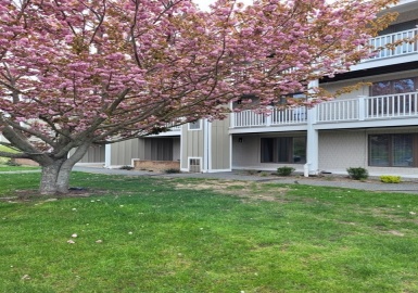 42 Old Colony Way, Orleans, Massachusetts 02653, 1 Bedroom Bedrooms, 3 Rooms Rooms,1 BathroomBathrooms,Residential,For Sale,Old Colony Village,Old Colony Way,73113534