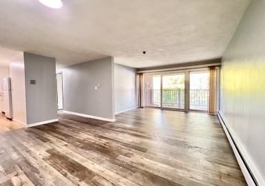 31 Jones Terrance, Stoughton, Massachusetts 02072, 2 Bedrooms Bedrooms, 4 Rooms Rooms,1 BathroomBathrooms,Residential Lease,For Rent,Jones Terrance,73178314