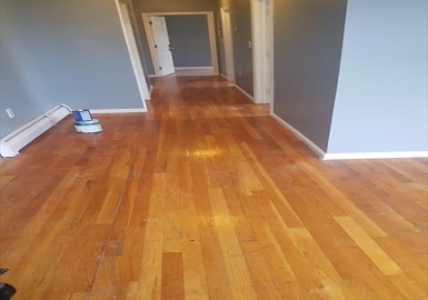 1 Stoughton Street Place, Boston, Massachusetts 02125, 3 Bedrooms Bedrooms, 5 Rooms Rooms,1 BathroomBathrooms,Residential Lease,For Rent,Stoughton Street Place,73199547