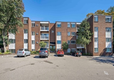 31 Jones Ter, Stoughton, Massachusetts 02072, 2 Bedrooms Bedrooms, 4 Rooms Rooms,1 BathroomBathrooms,Residential,For Sale,Walnut Park,Jones Ter,73166077
