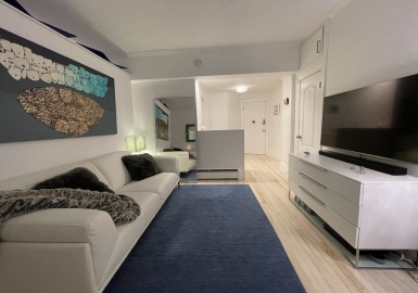 290 Commonwealth Ave, Boston, Massachusetts 02115, 1 Bedroom Bedrooms, 2 Rooms Rooms,1 BathroomBathrooms,Residential,For Sale,Commonwealth Ave,73092522