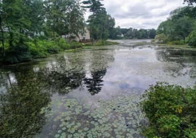 81 Lakehurst, Weymouth, Massachusetts 02189, 3 Bedrooms Bedrooms, 5 Rooms Rooms,2 BathroomsBathrooms,Residential,For Sale,Lakehurst,73153586