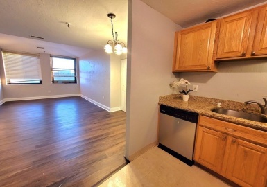 17 Federal St, Worcester, Massachusetts 01608, 1 Bedroom Bedrooms, 3 Rooms Rooms,1 BathroomBathrooms,Residential,For Sale,Federal Square Condominium Trust,Federal St,73166384
