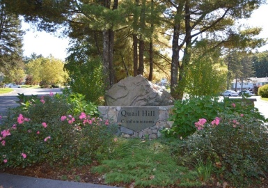 16 Bayberry Cir, Millis, Massachusetts 02054, 2 Bedrooms Bedrooms, 5 Rooms Rooms,1.5 BathroomsBathrooms,Residential,For Sale,Quail Hill Condominiums,Bayberry Cir,73170392