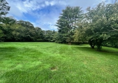 0A Yarmouth Rd, Brookline, Massachusetts 02467, 4 Bedrooms Bedrooms, 17 Rooms Rooms,7 BathroomsBathrooms,Residential,For Sale,Yarmouth Rd,73177601