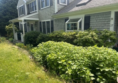37 Monahansett Rd, Mashpee, Massachusetts 02649, 3 Bedrooms Bedrooms, 6 Rooms Rooms,2.5 BathroomsBathrooms,Residential,For Sale,Monahansett Rd,73134023