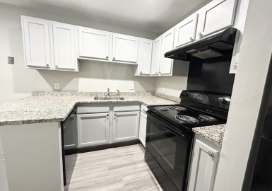15 Ruggles, Boston, Massachusetts 02119, 3 Bedrooms Bedrooms, 5 Rooms Rooms,1 BathroomBathrooms,Residential Lease,For Rent,Ruggles,73230105