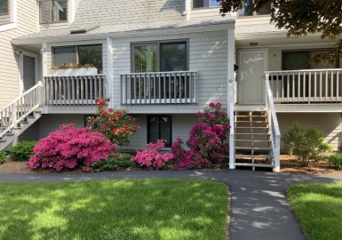 19 Atlantic Road-Winter, Gloucester, Massachusetts 01930, 2 Bedrooms Bedrooms, 5 Rooms Rooms,1.5 BathroomsBathrooms,Residential Lease,For Rent,Atlantic Road-Winter,73261781